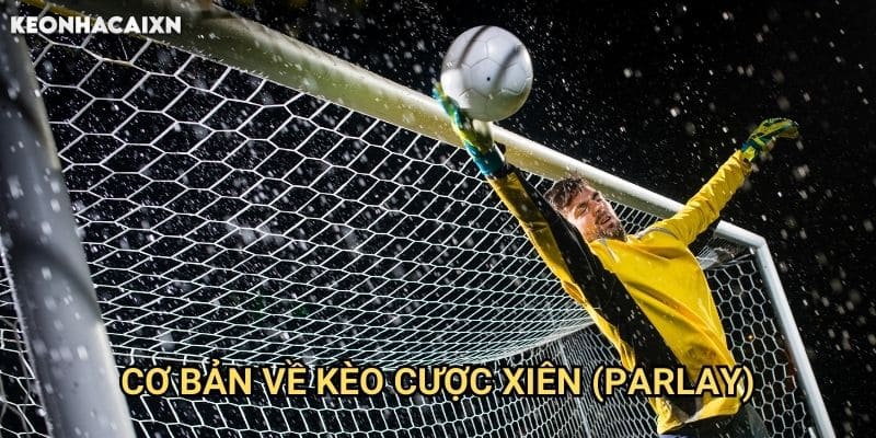 Kèo Xiên Là Gì Keonhacai xn: Giải Thích Chi Tiết Và Cách Đặt Cược 1 Cơ Bản Về Kèo Cược Xiên (Parlay)