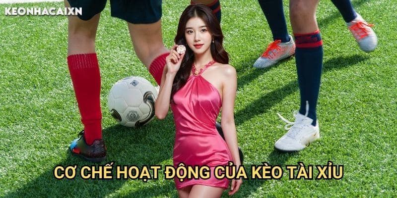Tài Xỉu Toàn Trận Keonhacai xn: Hướng Dẫn Phân Tích Và Đặt Cược 1 Cơ Chế Hoạt Động Của Kèo Tài Xỉu
