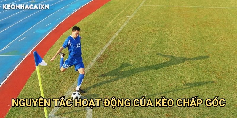 Kèo Chấp Phạt Góc Keonhacai xn: Phân Tích Ưu Thế Của Đội Bóng 1 Nguyên Tắc Hoạt Động Của Kèo Chấp Góc
